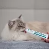 VETEXPERT TrichoCat Anti-Hairball Paste for Cats 50 g