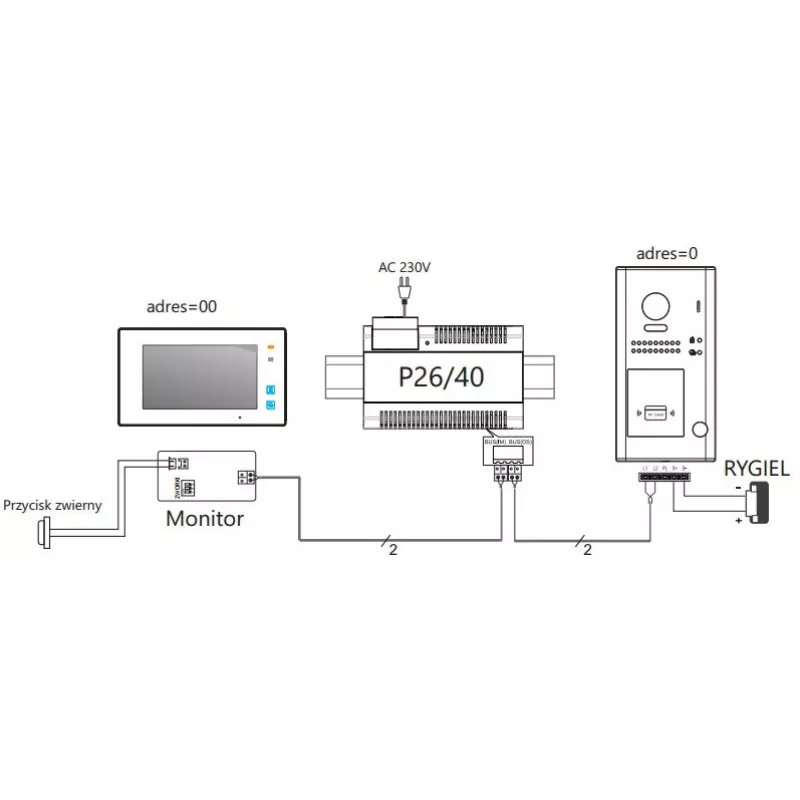 VIDOS DUO S1101A Bramofon - 1 Przycisk Wywołania, Srebrny, Montaż Natynkowy, 2-przewodowy, IP65