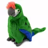 LEAN TOYS Pluszowa Papuga Ara Egzotyczny Ptak Mascot Przytulanka Zielona 24 cm