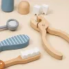 LEAN TOYS Wooden Dental Kit Tools Little Dentist