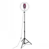 CELLY Ring Professional Tripod with Light - 160cm, 10 inch LED Ring Light, USB Powered, Black
