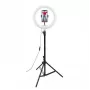 CELLY Ring Professional Tripod with Light - 160cm, 10 inch LED Ring Light, USB Powered, Black