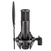 sE Electronics sE2200 Black Studio Condenser Microphone
