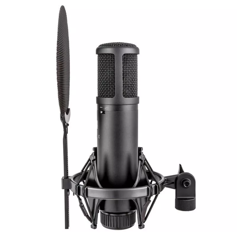 sE Electronics sE2200 Black Studio Condenser Microphone
