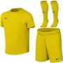 Nike Dri-FIT Park VIII Dziecięcy Komplet Piłkarski Żółty HV8260 719 XL