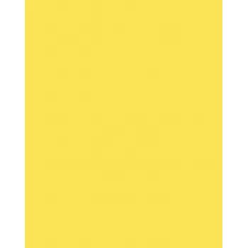 Folia 614/50 12 Żółty A4 Karton 300 g/m² 50 arkuszy