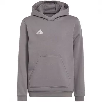 adidas Entrada 22 Hoody Bluza dziecięca Szary 116 cm