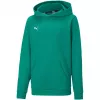PUMA teamGOAL 23 Casuals Hoody Jr Bluza Forest Green 128