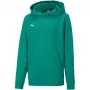 PUMA teamGOAL 23 Casuals Hoody Jr Bluza Forest Green 128