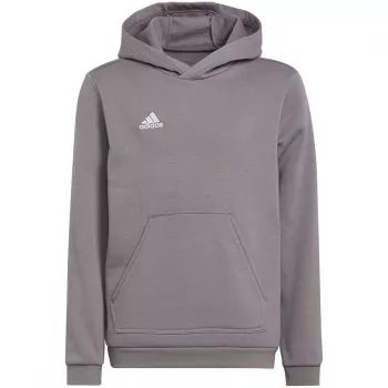 adidas Entrada 22 Bluza z kapturem średni szary melanż dziecięca 128 cm