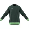 adidas Tiro 23 Competition Crew męska bluza Team Green HU1324