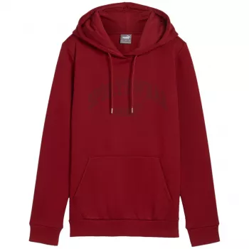 Bluza PUMA Essentials+ Logo LAB Hoodie FL Burgundowy Rozmiar L