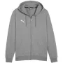 PUMA Team Goal Casuals Bluza z kapturem szara
