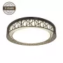 Lampa sufitowa CL16160-D40 24W LED okrągła 400mm naturalna biała 1920lm