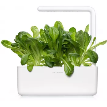 Click & Grow SGR50X3 Sałata Nasiona w Kapsułkach (3 szt.)