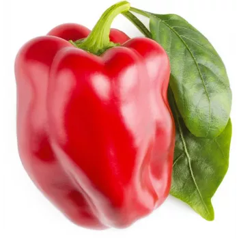Click & Grow SGR63X3 Smart Garden 3 Zestaw uzupełniający z kapsułami roślinnymi (3 kapsuły, biodegradowalne, z nasionami, Smart Soil)