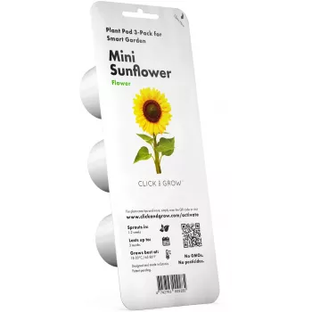 Click & Grow kapsuły roślinne miniaturowy słonecznik do Smart Garden, 3 szt. (SGR65X3)