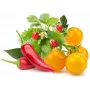 Click & Grow kapsuły roślinne mieszanka owoców i warzyw do Smart Garden, 9 szt. (PPMFVX9)
