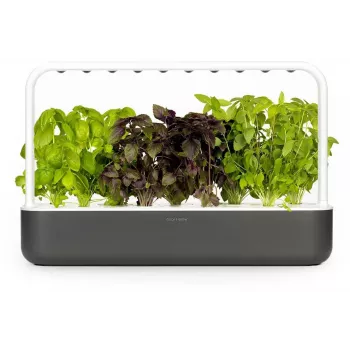 Click & Grow Smart Garden 9, szary (SG9S8UNI)