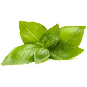 Click & Grow kapsuły roślinne bazylia cytrynowa do Smart Garden, 3 szt. (SGR76X3)