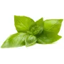 Click & Grow kapsuły roślinne bazylia cytrynowa do Smart Garden, 3 szt. (SGR76X3)