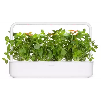 Click & Grow kapsuły roślinne bazylia cytrynowa do Smart Garden, 3 szt. (SGR76X3)