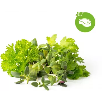 Click & Grow kapsuły roślinne mieszanka ziół do steków do Smart Garden, 9 szt. (PPMSSX9)