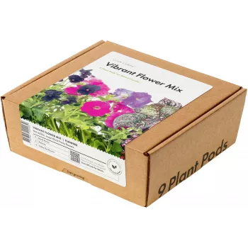 Click & Grow kapsuły roślinne mieszanka kolorowych kwiatów do Smart Garden, 9 szt. (PPMVBX9)