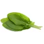Click & Grow kapsuły roślinne szczaw do Smart Garden, 3 szt. (SGR55X3)