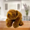 LEAN TOYS Pluszowa zabawka Miś brunatny Przytulanka 28 cm