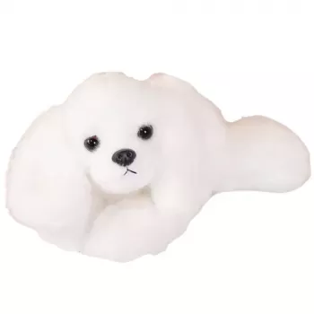 LEAN TOYS Pluszowy pies rasy maltańczyk z obciążonymi łapami biały 30 cm