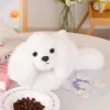 LEAN TOYS Pluszowy pies rasy maltańczyk z obciążonymi łapami biały 30 cm