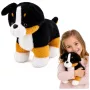 LEAN TOYS Pluszowy Miękki Pies Przytulanka Berneński Pies Pasterski 30x30 cm