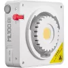 Godox ML100 Bi-color Kit 2 - 100W LED Monolight z softboxem, statywem, reflektorem i torbą