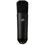 Warm Audio WA-87 R2 BL Duży membranowy mikrofon pojemnościowy - Nikiel