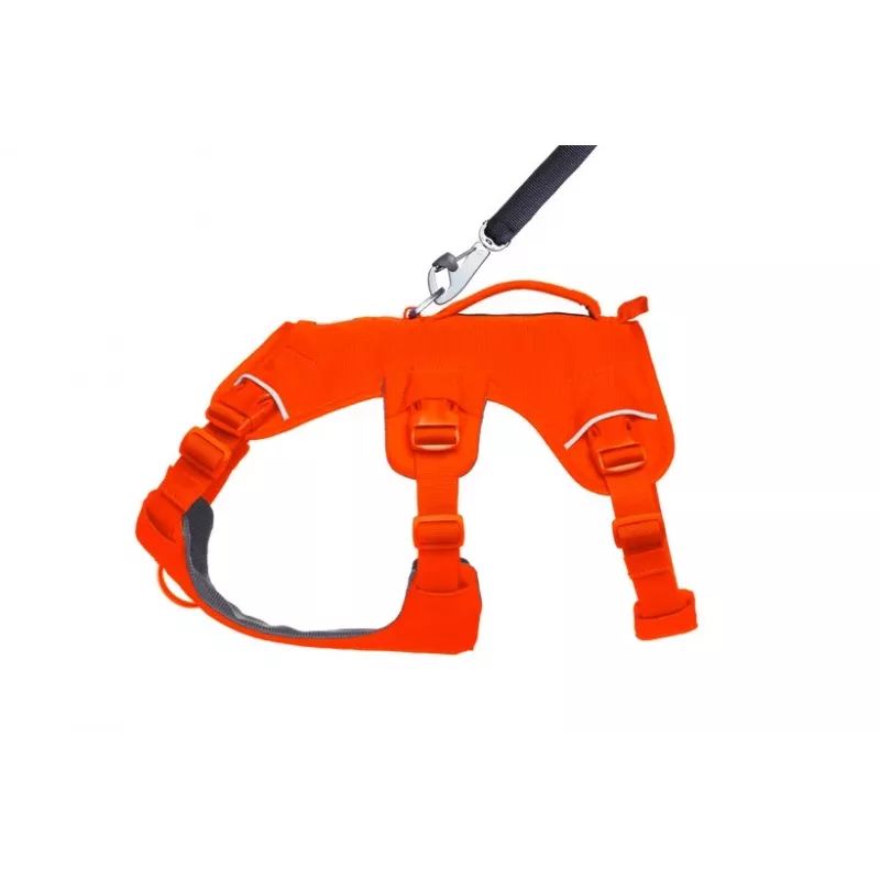 Ruffwear Web Master Wielofunkcyjna uprząż wspierająca dla psa, Blaze Orange, rozmiar M