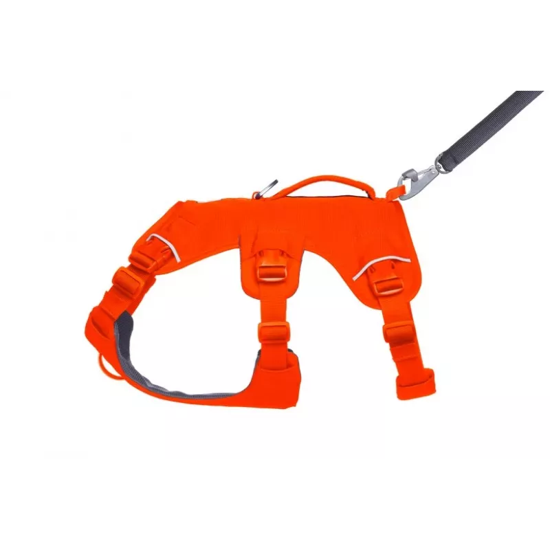 Ruffwear Web Master Wielofunkcyjna uprząż wspierająca dla psa, Blaze Orange, rozmiar M