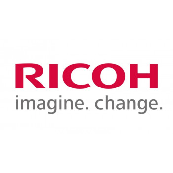 Ricoh AB012207 (AB01-2207) KOŁO ZĘBATE:WAŁEK POLERUJĄCY:A