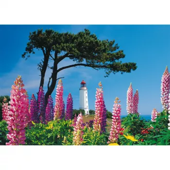 Schmidt Spiele Dornbusch Lighthouse, Hiddensee puzzle 1000 elementów