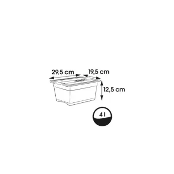 KEEPEER Crystalbox Cornelia 4L przezroczyste pudełko do przechowywania z pokrywką, 29,5 x 19,5 x 12,5 cm