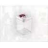 LEIFHEIT Fresh&Easy Szczelny Pojemnik do Przechowywania Żywności 1,6L, Bez BPA, Przezroczysty z Zieloną Pokrywką