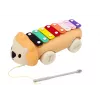 LEAN TOYS Lew Talerze na Kółkach Muzyczna Zabawka do Ciągnięcia dla Małych Dzieci, Kolorowy Instrument Edukacyjny