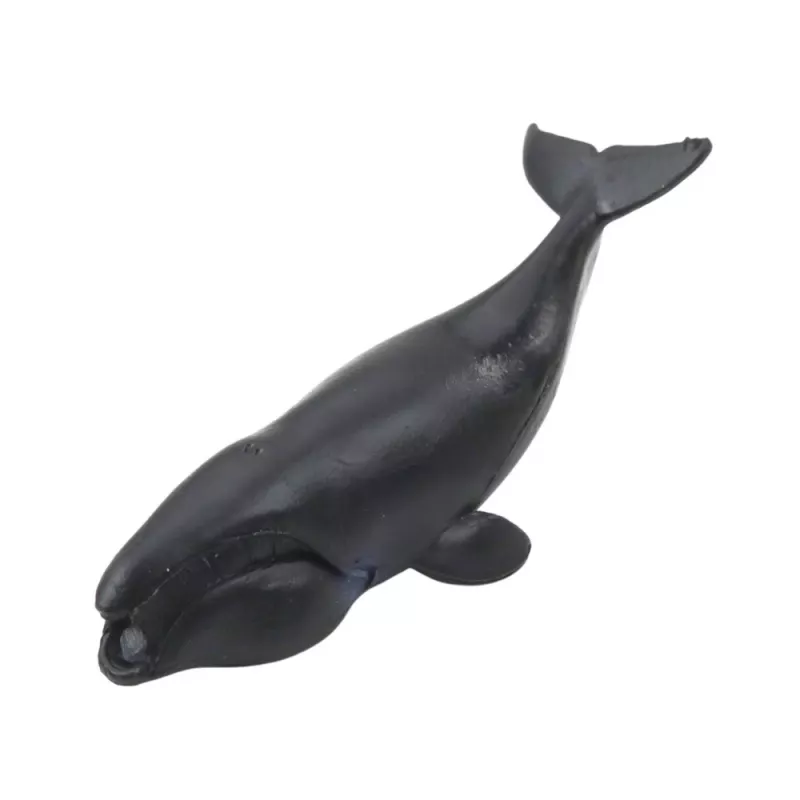 LEAN TOYS Zestaw Mini Figurki Zwierzęta Morskie Ssaki Orka Foto Delfin 6-8cm 6szt
