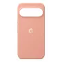 Etui GOOGLE Pixel 11 Pro XL Canyon PKK4 5B05