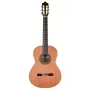 Prodipe Guitars Recital 300 4/4 - gitara klasyczna