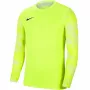 Nike Dry Park IV JSY LS GK Junior Lime Bluza bramkarska CJ6072 702 XS