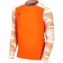Nike Dry Park IV JSY LS GK Junior Bluza Bramkarska Pomarańczowa CJ6072 819