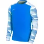 Nike Dry Park IV JSY LS GK Junior Bluza bramkarska Royal Blue CJ6072 463 XL