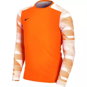 Nike Dry Park IV JSY LS GK Junior Bluza bramkarska Pomarańczowy CJ6072 819 S