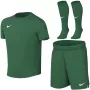 Nike Dri-FIT Park VIII zestaw sportowy dla małych dzieci zielony HV8260 302 rozmiar S
